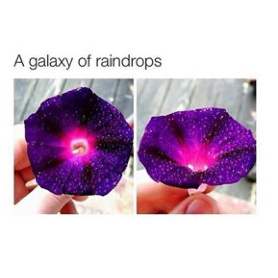 A galaxy of raindrops