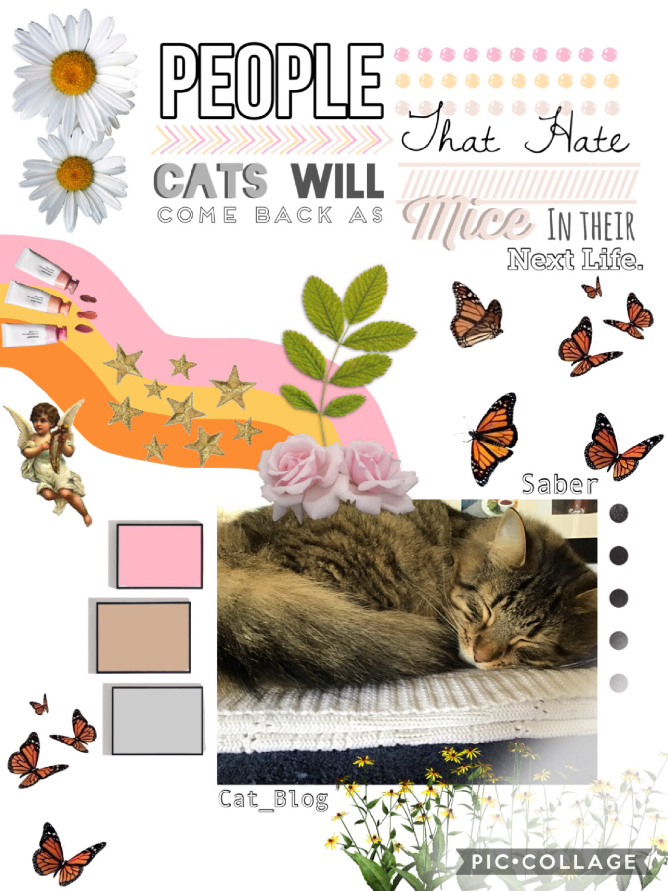 😺TAP😺

Haha, so this collage is all OVER THE PLACE!!! I absolutely 💖 the text!! What do you guys think about this collage?