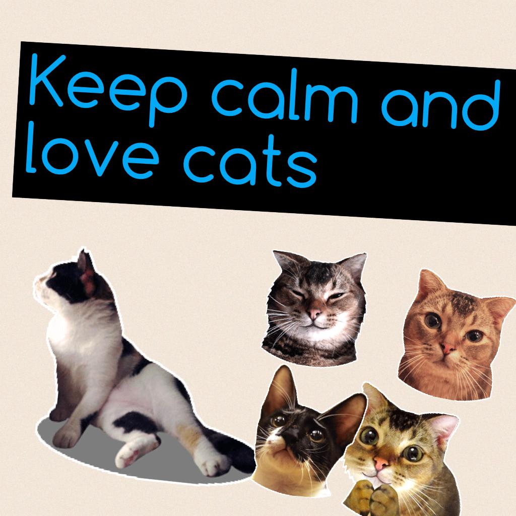 Do you love cats