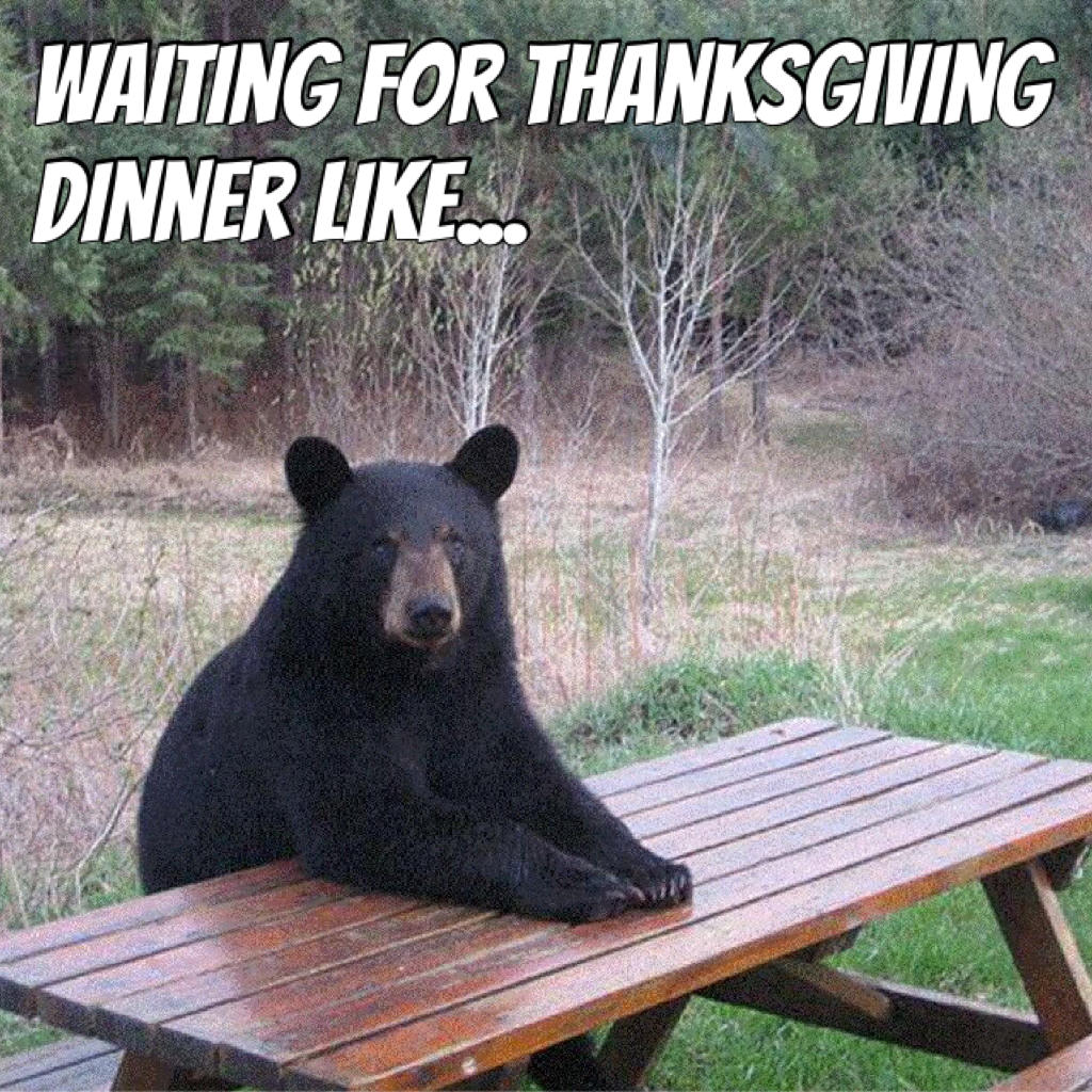 Waiting for Thanksgiving dinner like...