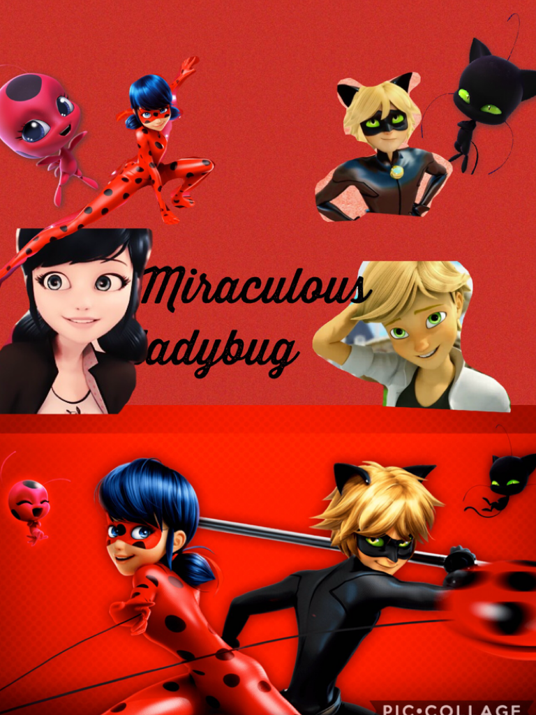 Miraculous ladybug