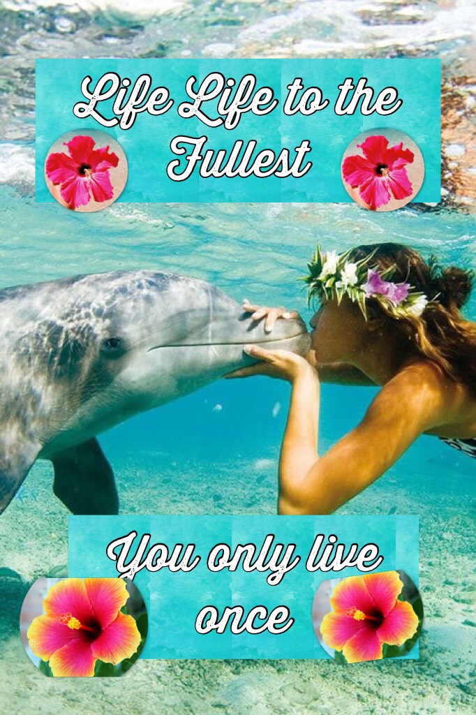 You only live once!!!!! Btw, I have always wanted to kiss a dolphin!
