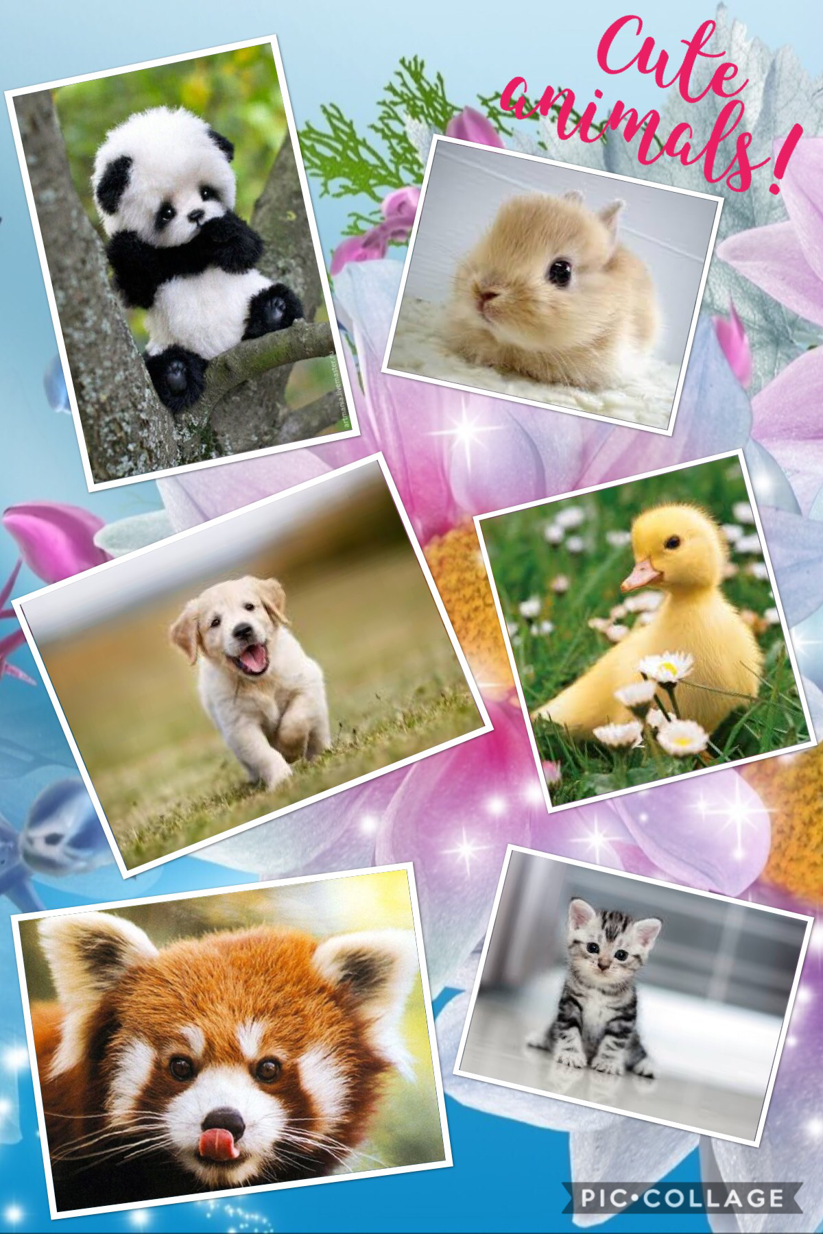 Look at all these cute baby animals!