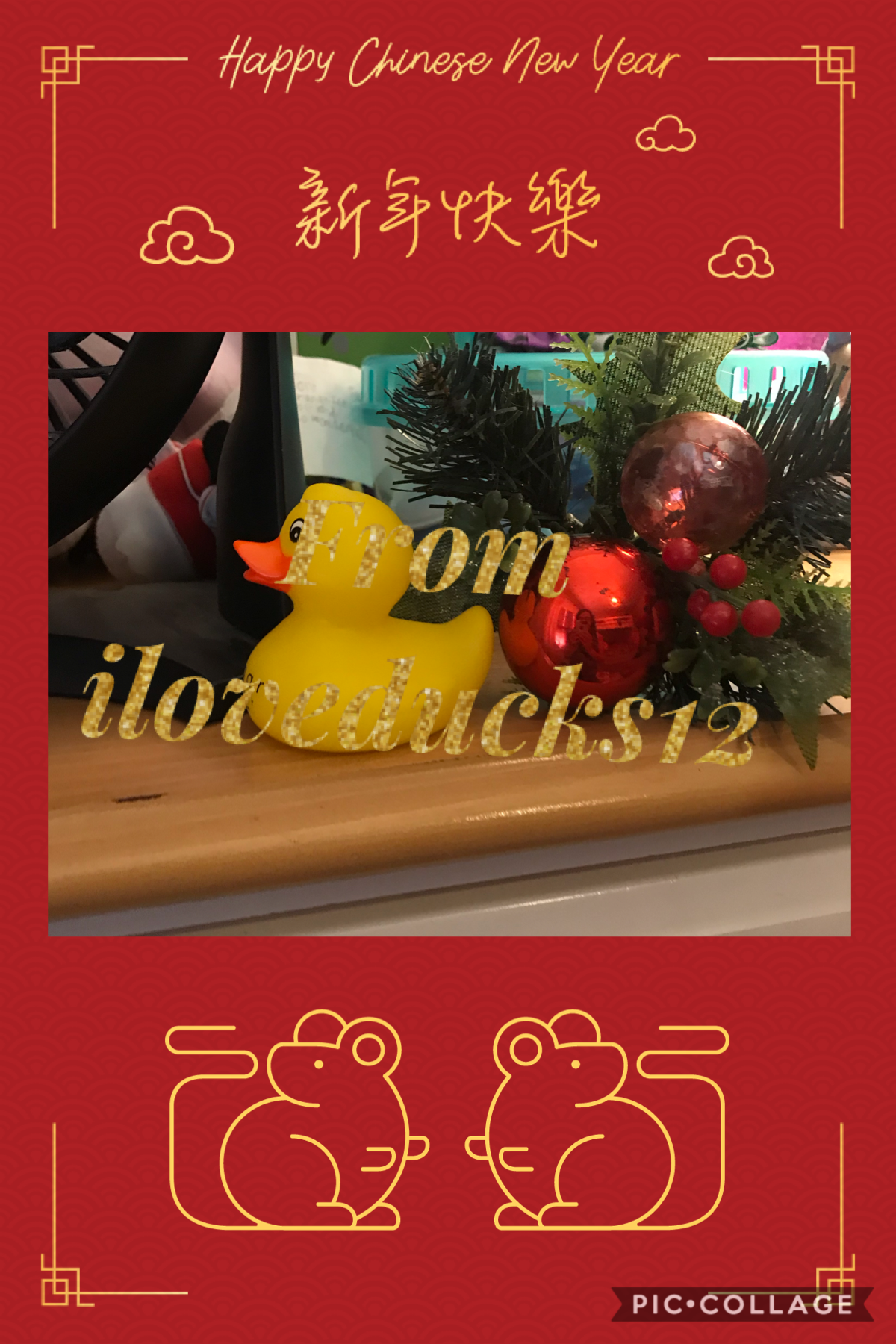 Happy Chinese New Year!  (Tap)        
 From iloveducks12