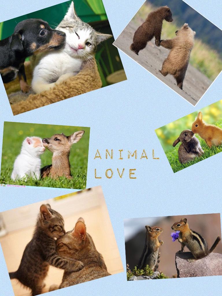 Animal love