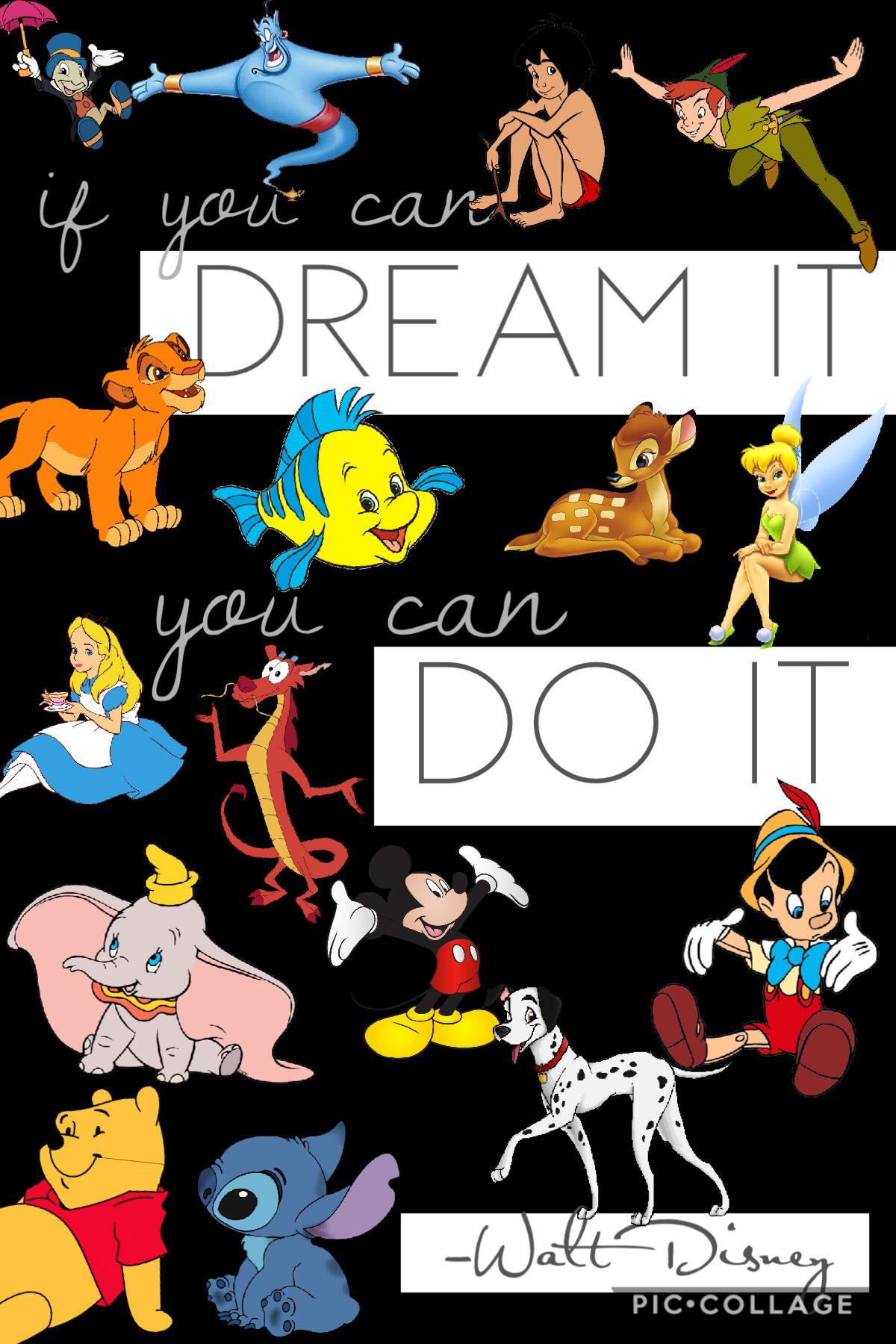 “If you can dream it, you can do it” -Walt Disney