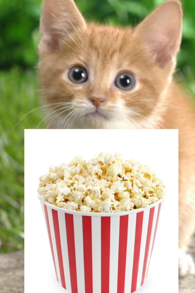 Popcorn mmmmm miauw 😀