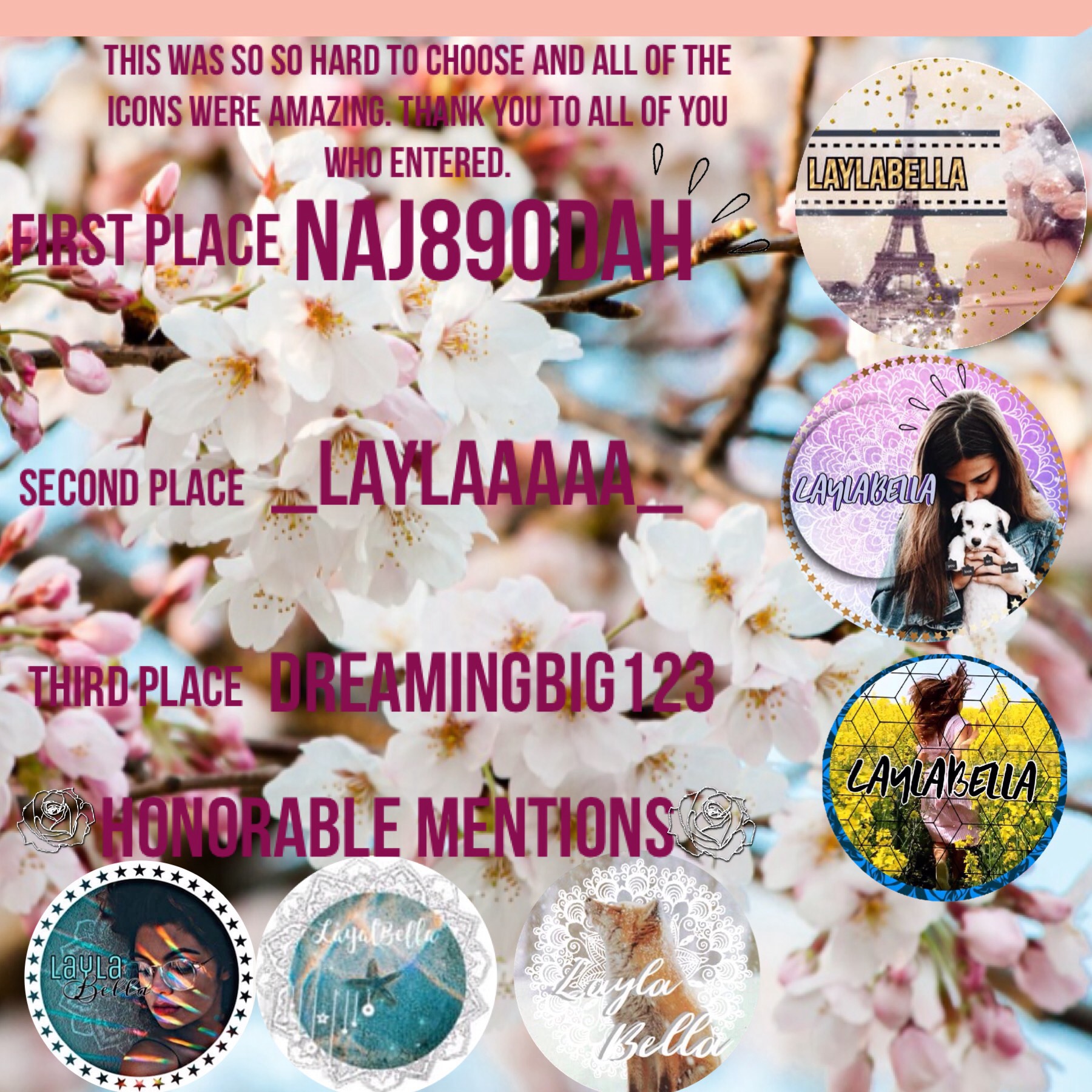 💕Thank you to all who entered in the contest all the icons were amazing💕