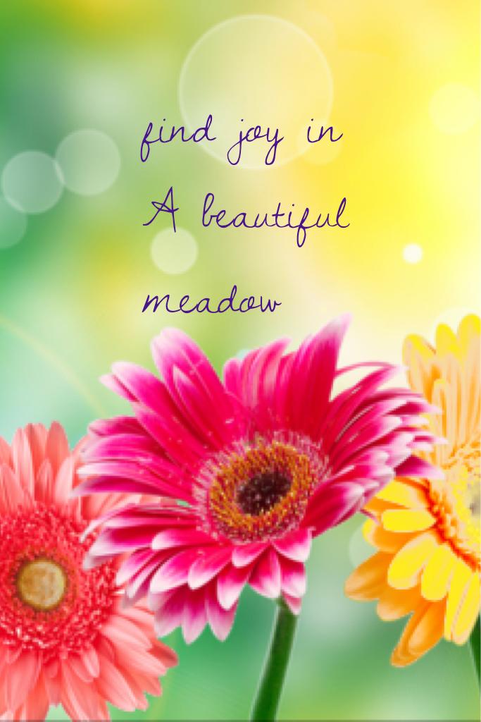 find joy in 
A beautiful meadow