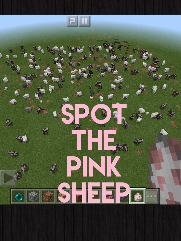 Spot the pink sheep 