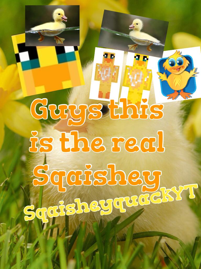 Guys this is the real Sqaishey 