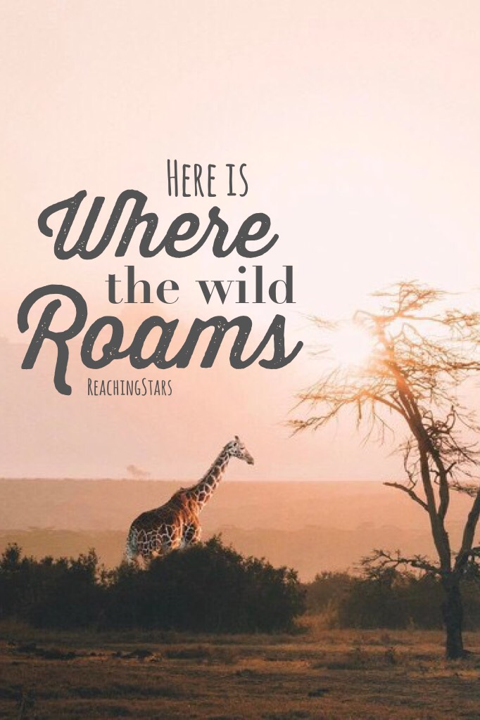 A little simple😕 (CLICK!)





QOTD...What is your favorite wild animal?

R E M I N D ER :
Tomorrow is June!