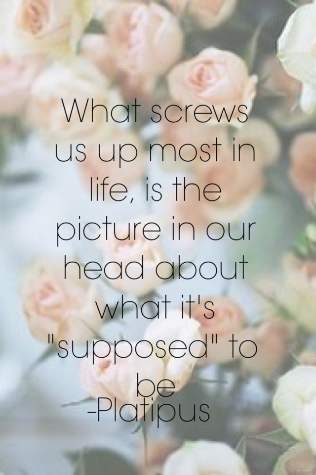 What screws us up most in life, is the picture in our head about what it's "supposed" to be
