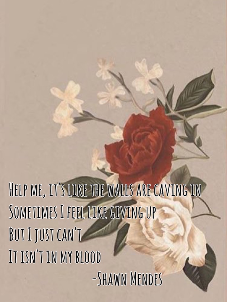 Help me, it's like the walls are caving in
Sometimes I feel like giving up
But I just can't
It isn't in my blood
                                 -Shawn Mendes