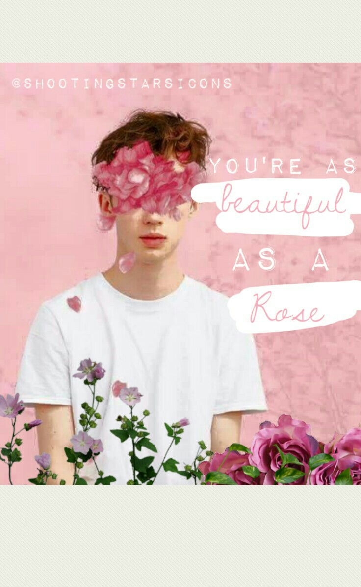 You're as beautiful as a rose 🌹 💞 #roses #aesthetic #featureme