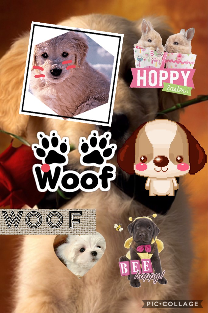 Woof #piccollage