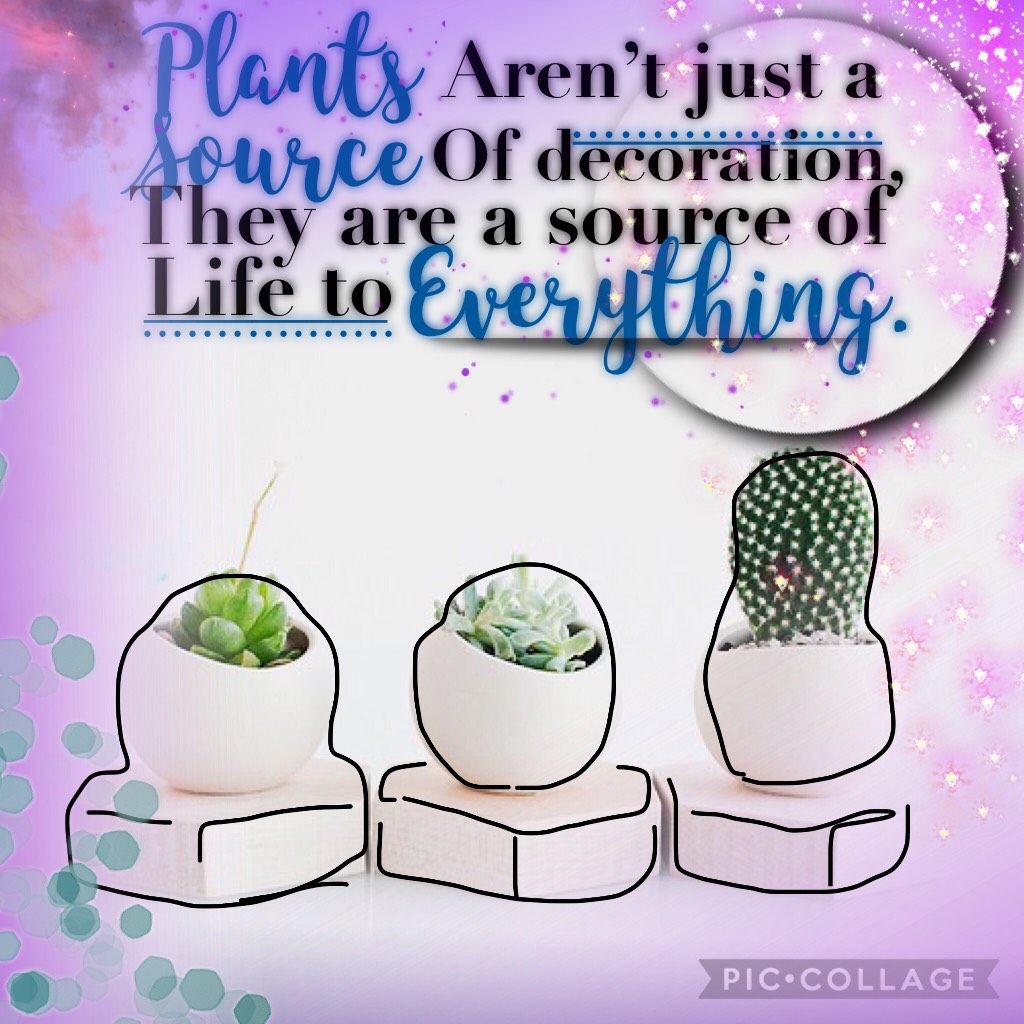 Plants are so amazing!!🤩🤩🤩🤩🤩🤩🤩
Btw I am sugar cakes
Well I was
 I deleted it 
So I am making some and posting some I have already made.