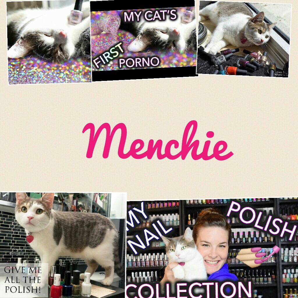 click here
this is simply nailogical`s cat, Menchie.