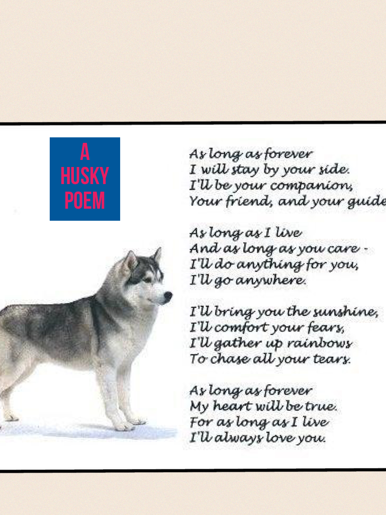 A husky poem