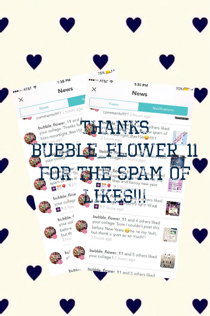 Thanks bubble_flower_11 for the spam of likes!!!