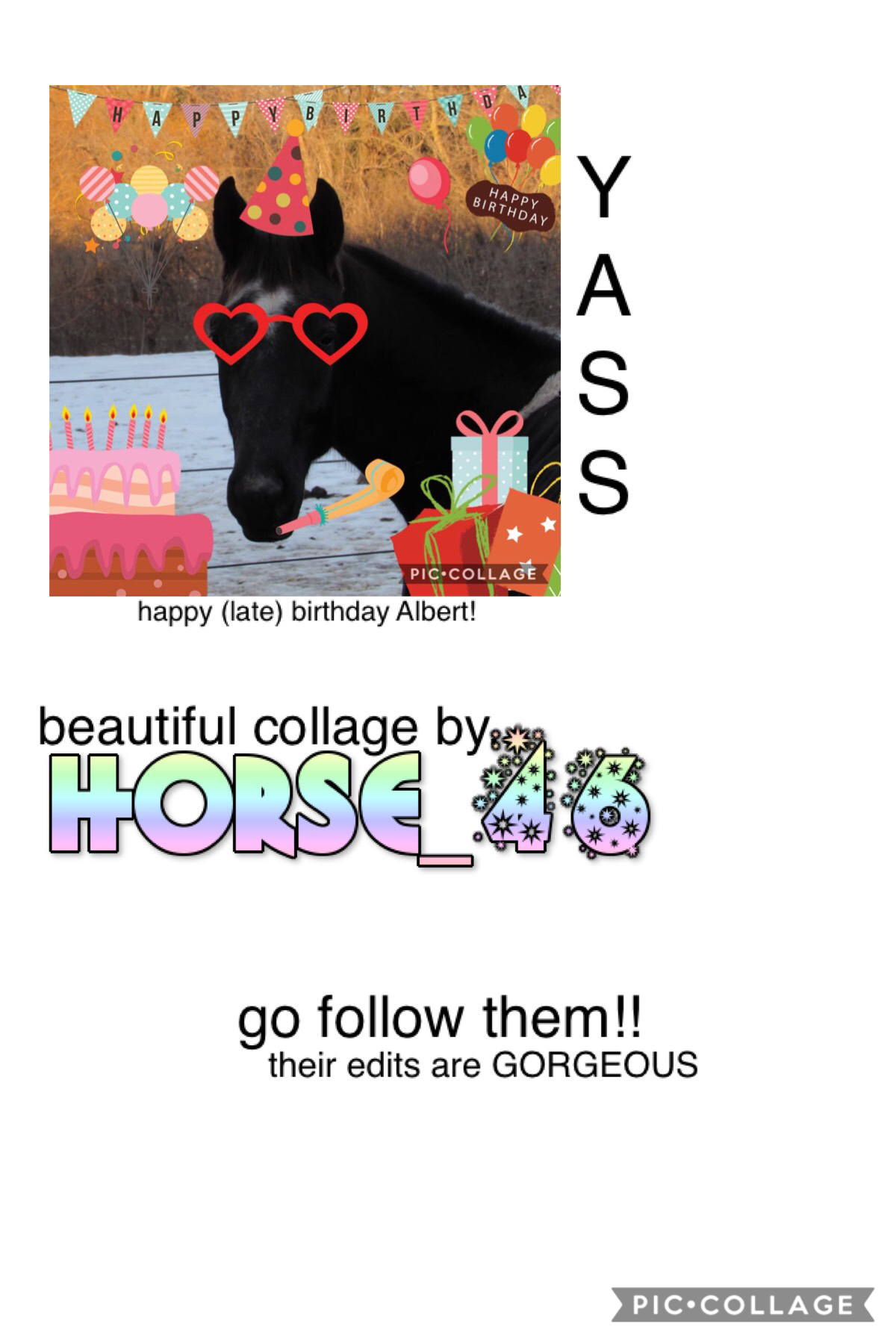go follow ~ horse_46