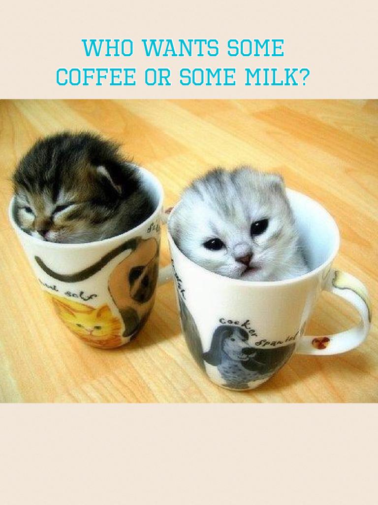 Who wants some coffee or some milk?