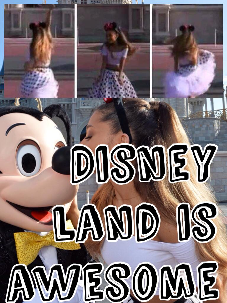 Disney land is awesome 