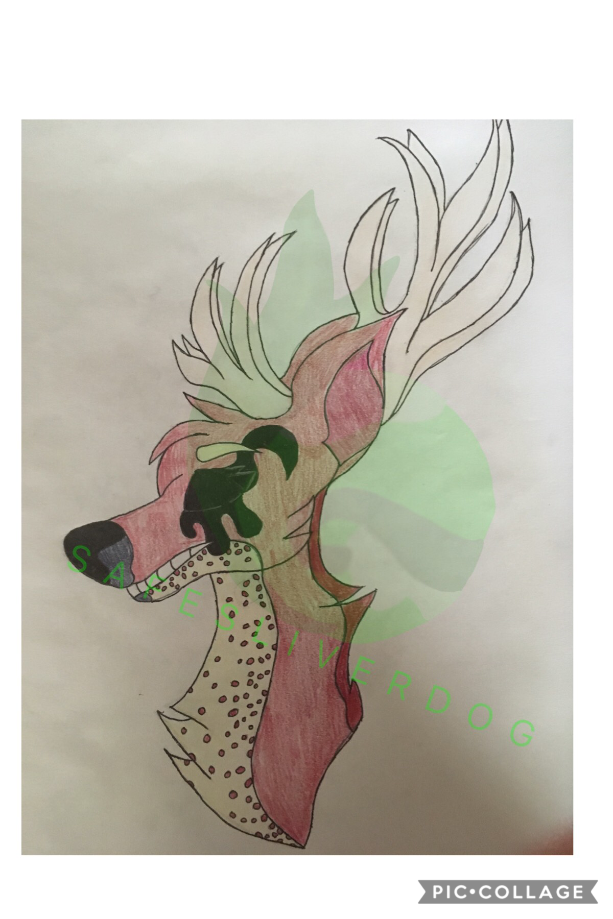 Oh wow look I drew something other than a dog or cat. This is Static, one of my OC’s. She is a caribou. Female caribou have antlers. 