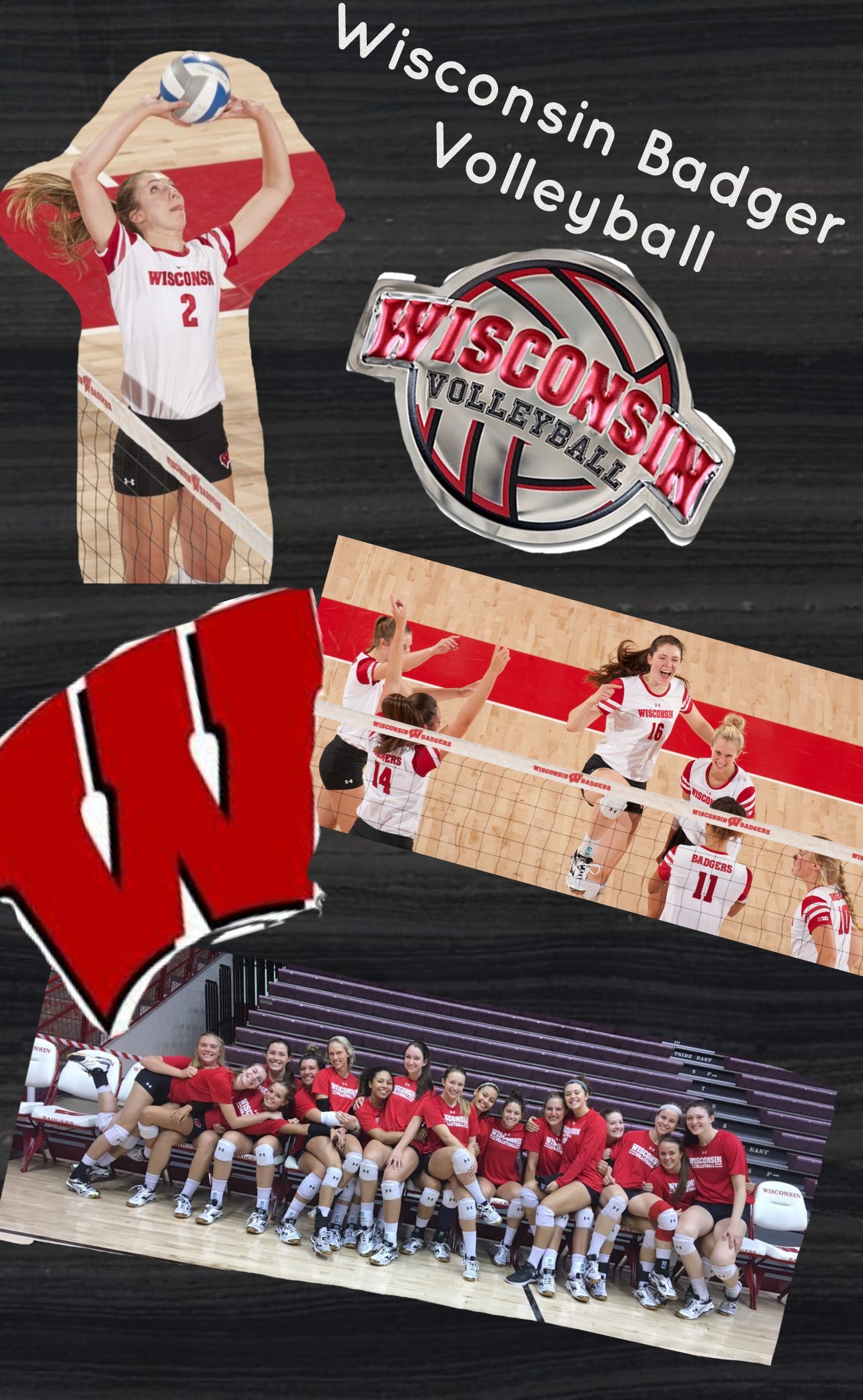 Wisconsin Badger 
Volleyball
