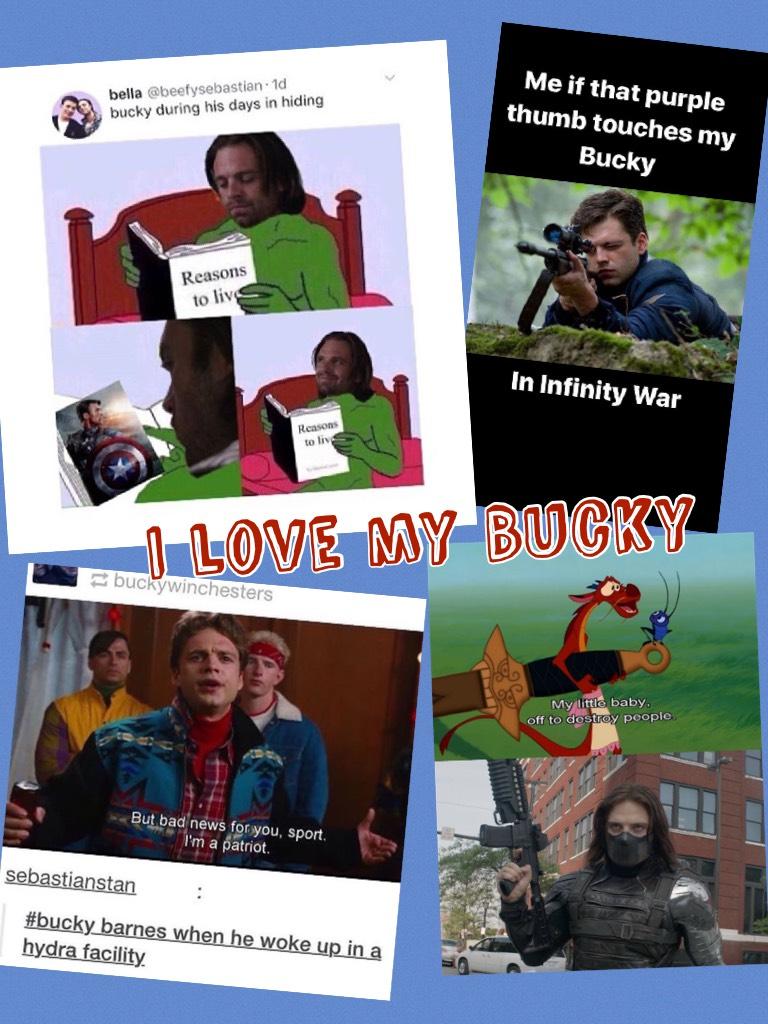 Bucky is life.