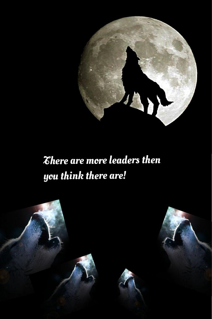There are more leaders then you think there are!