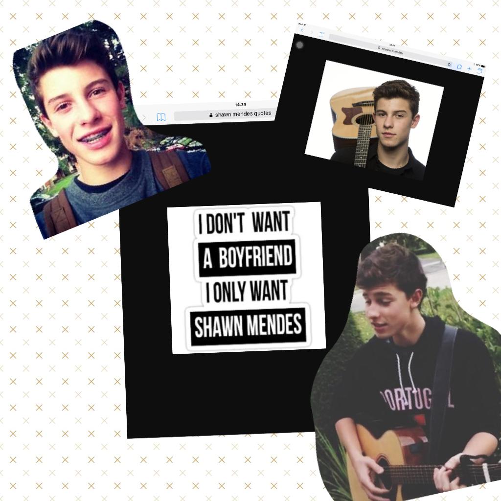 SHAWN MENDES is my BAE.  