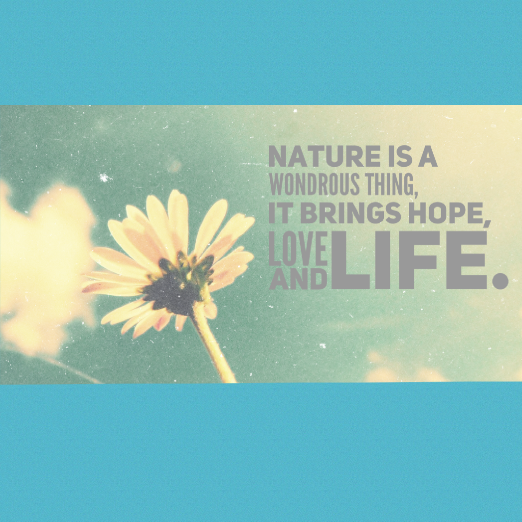 Nature/Summery Spring quote!!