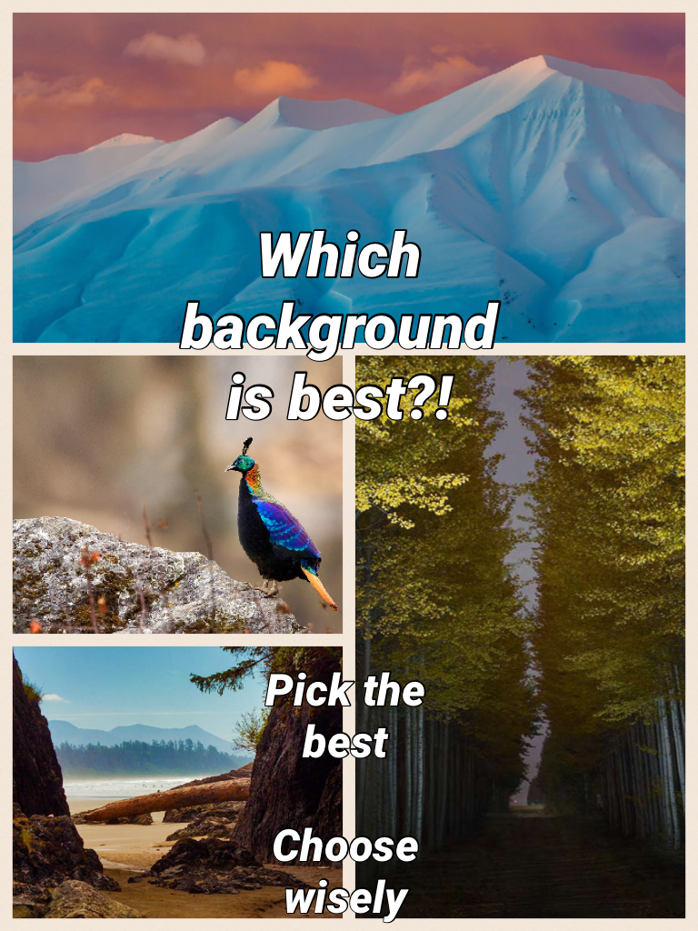Which background is best?!