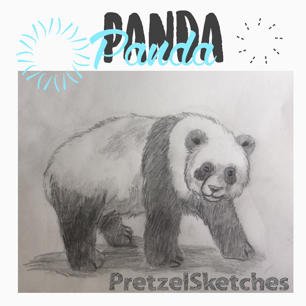 Click!
I drew a panda! Requested by SarahStorry!