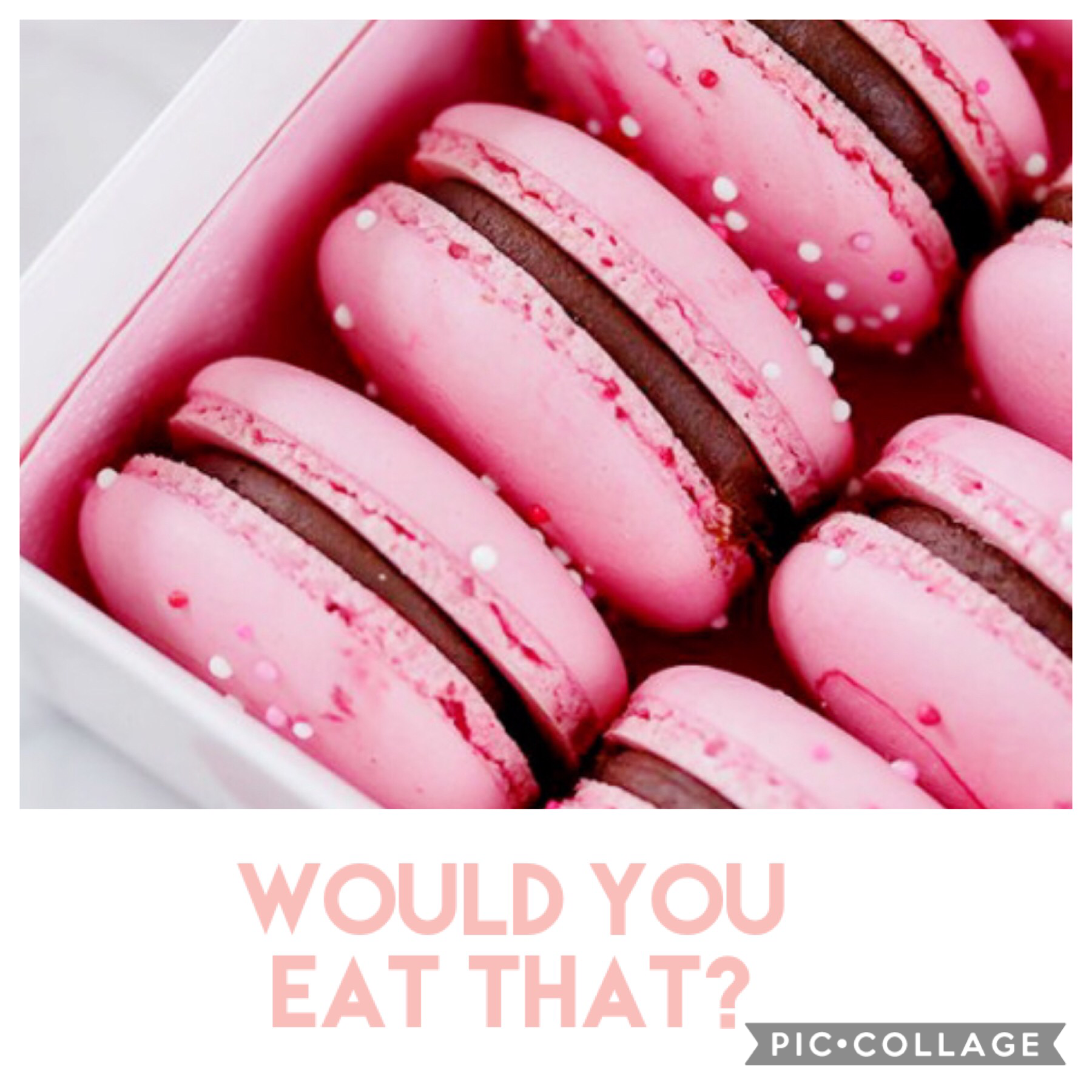 Comment Down “If You Would Eat That?”