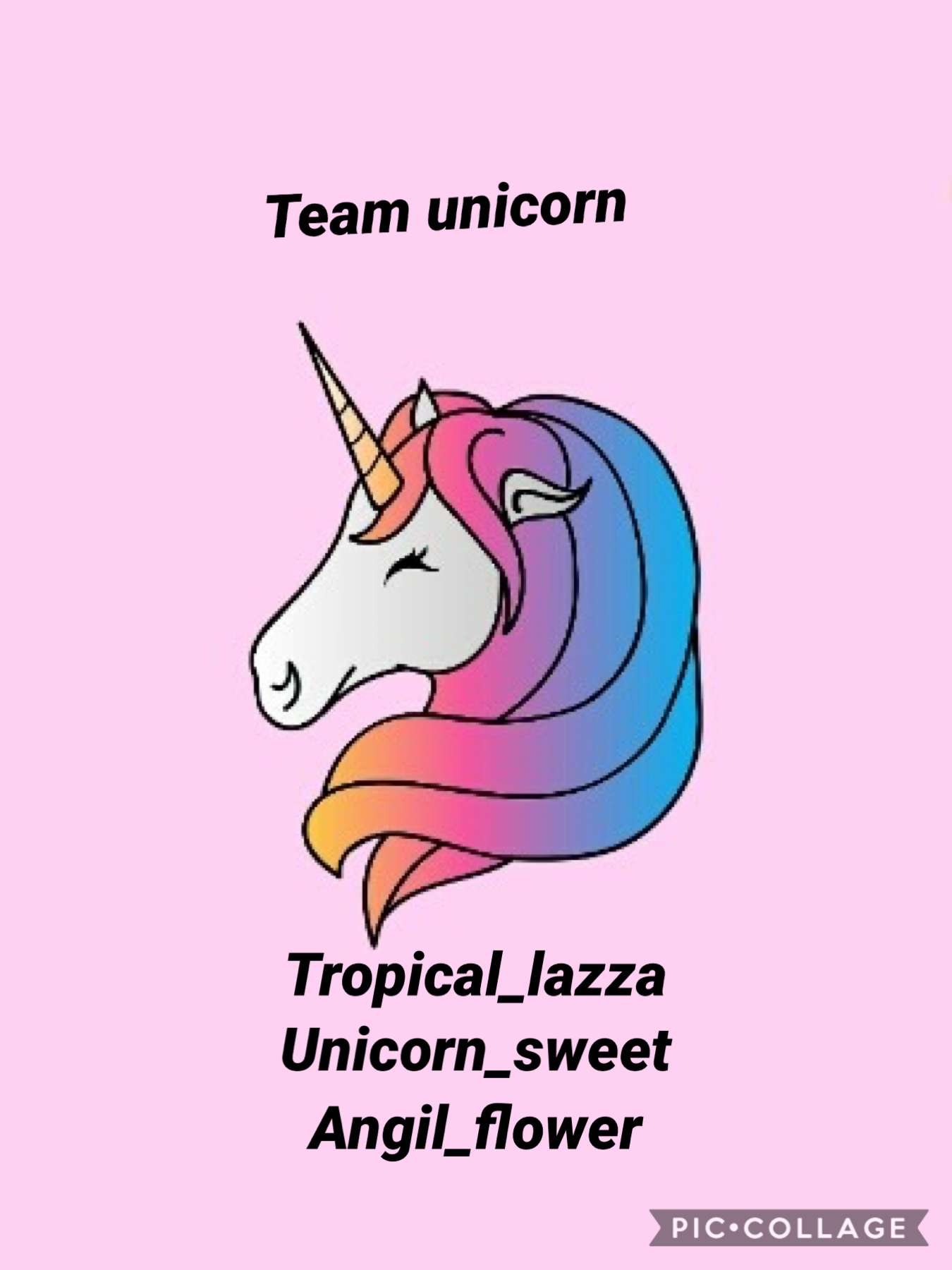 Team unicorn