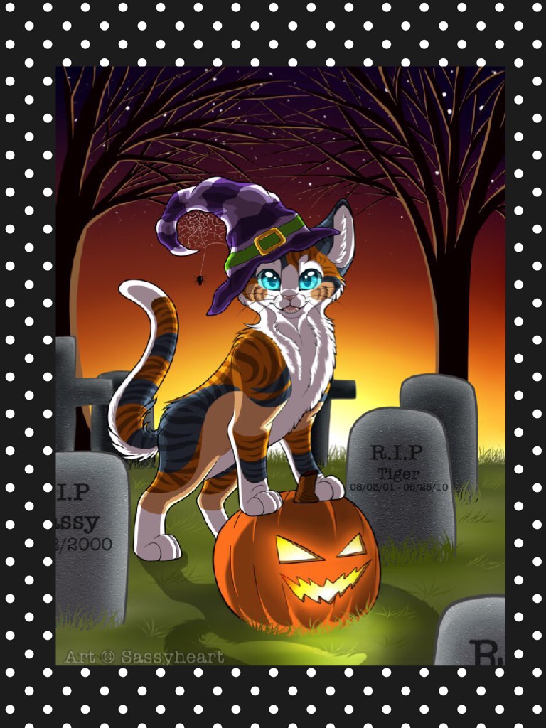 Comment down below if this is cute I love cats so I love this picture...Halloween spirit❤️❤️💀💀😂😄😁🐱