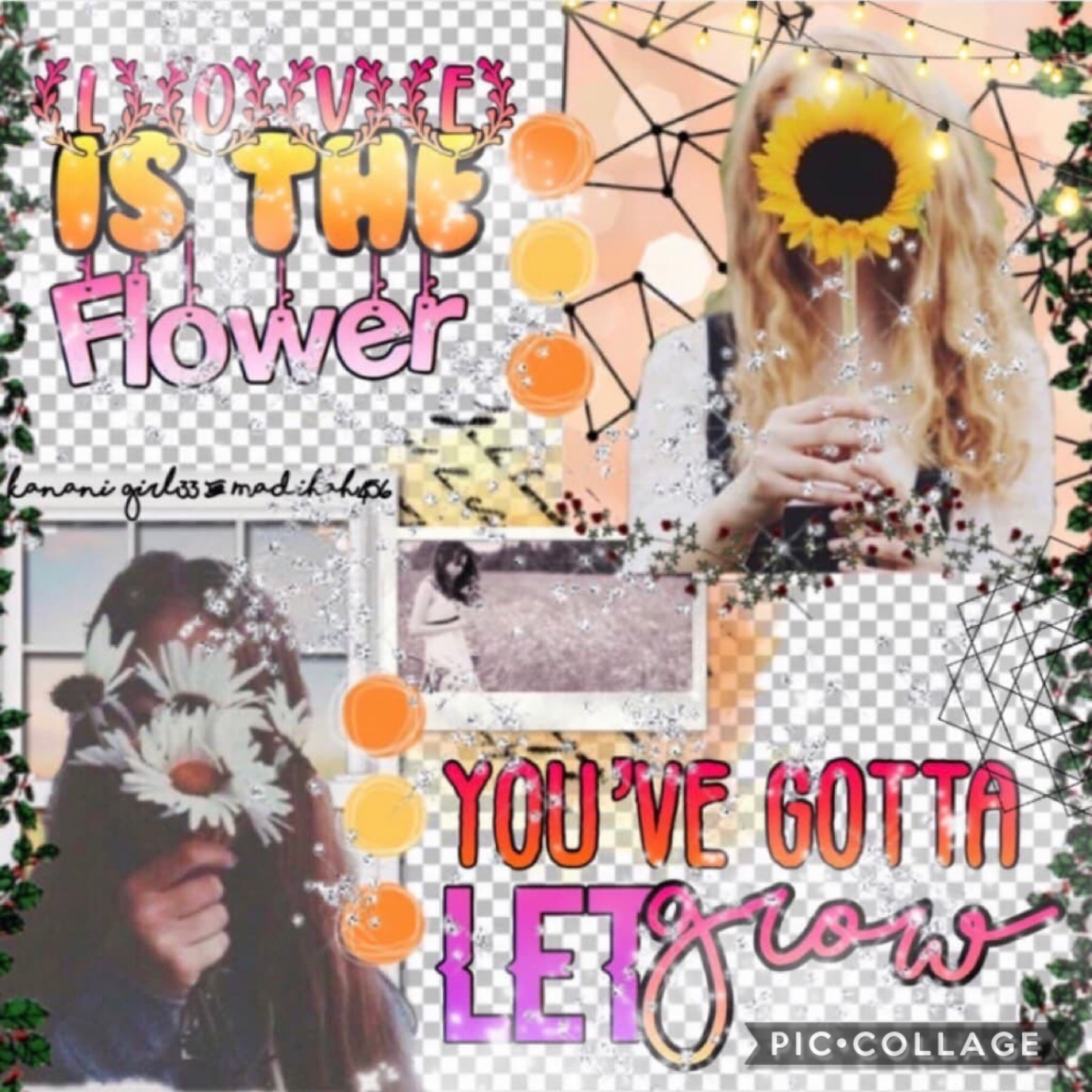 Collab with ♥️♥️♥️
Madihah456!!!!!
This girl is just amazing!! She did the background and I did the text! 
Qotd: what is your favorite flower? Answer with an emoji 🌺🌹🌷🌸🌻💐