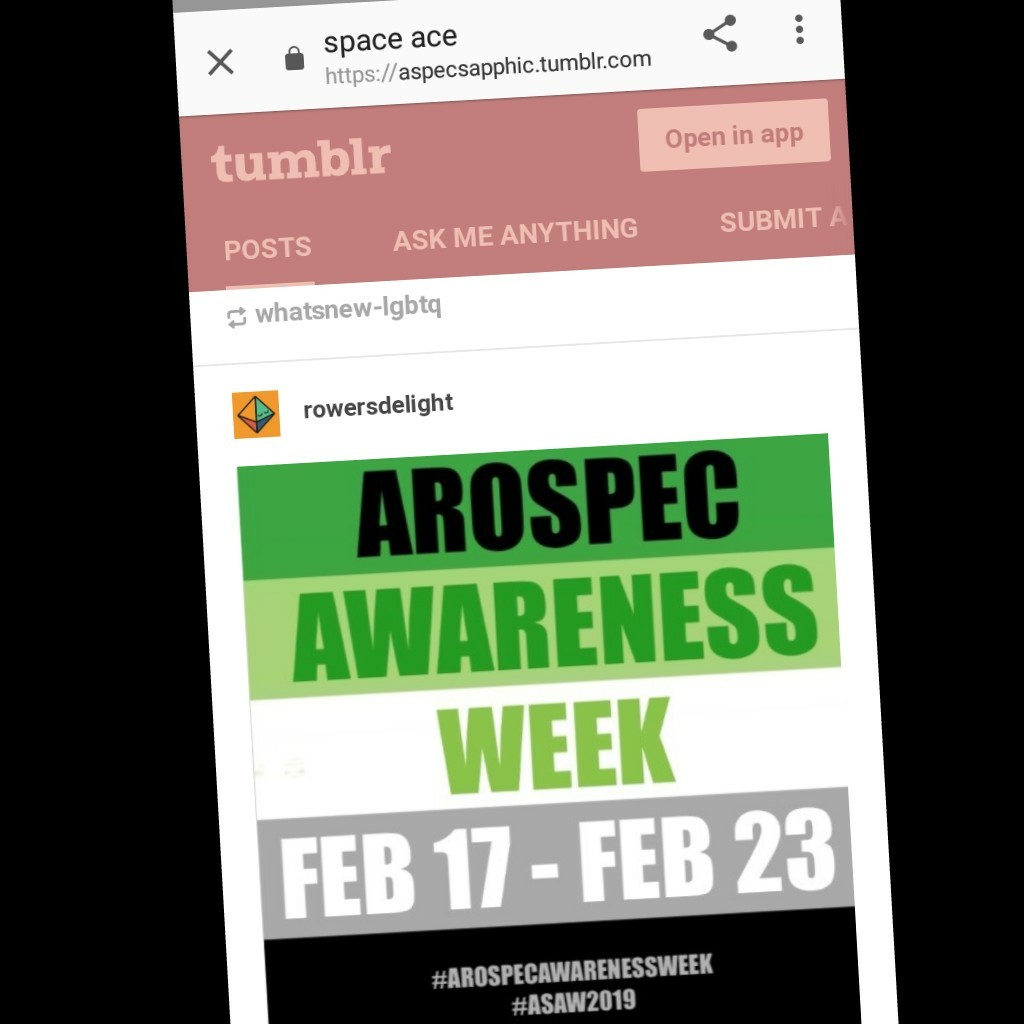 It's Arospec Awareness Week and I'm two days late! Sqawk! Why did Google not tell me? I have to get all my news from tumblr, don't I?
In other news, expect some aroace pride art coming your way. I should post more art on here.