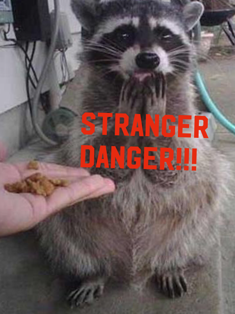 Stranger 
Danger!!!