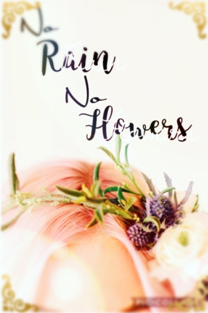 No rain, no flowers 🌹