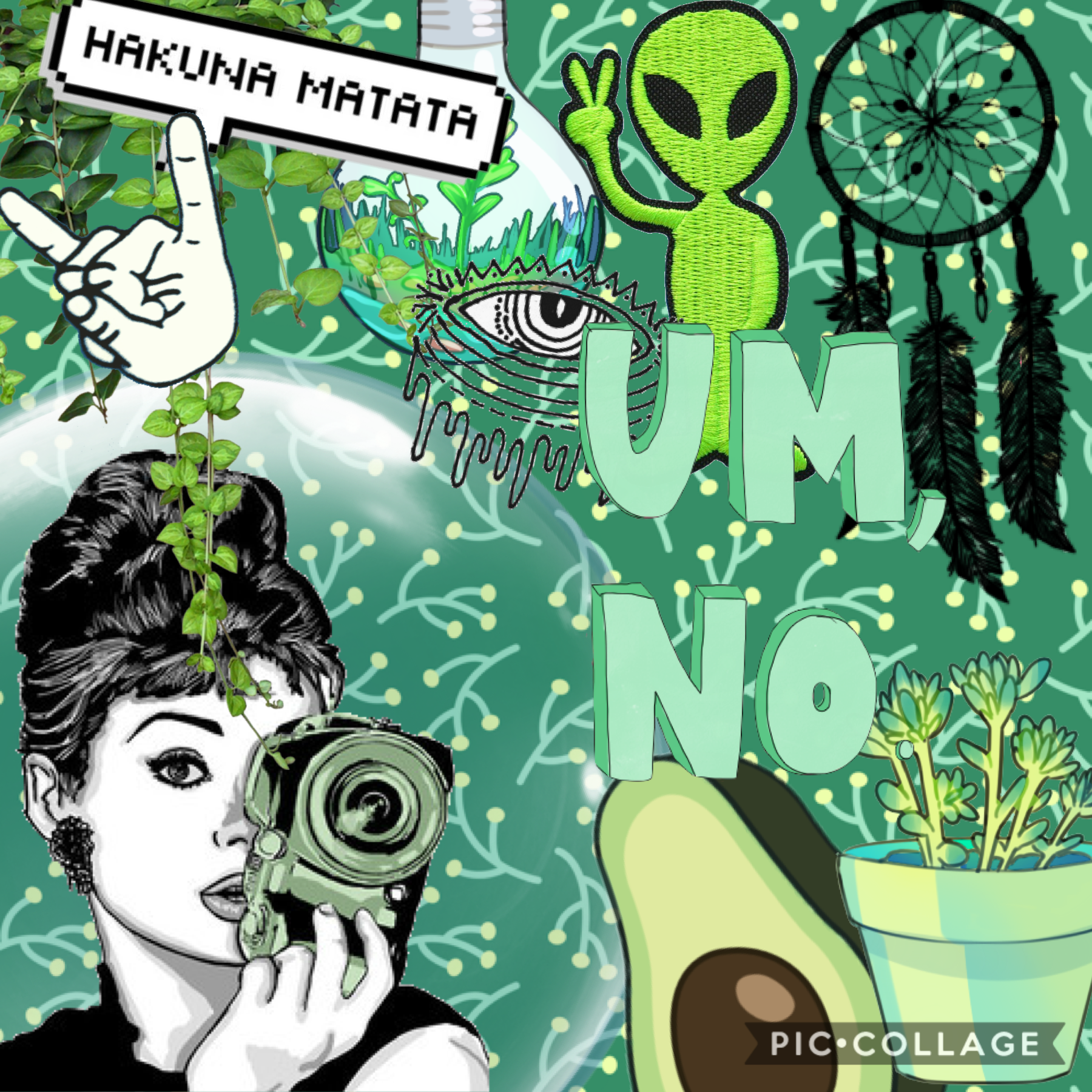 🌱🍃🌿🌵green collage 🌵🌿🍃🌱