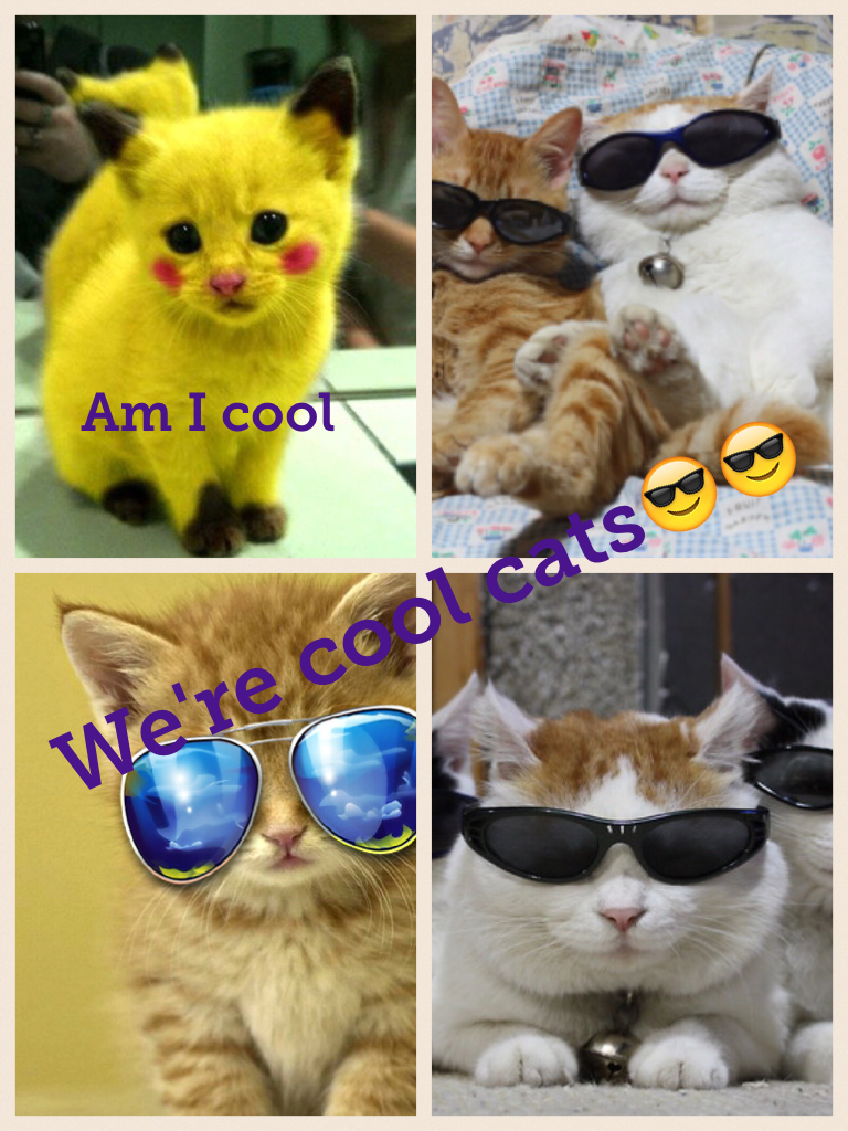 We're cool cats😎😎