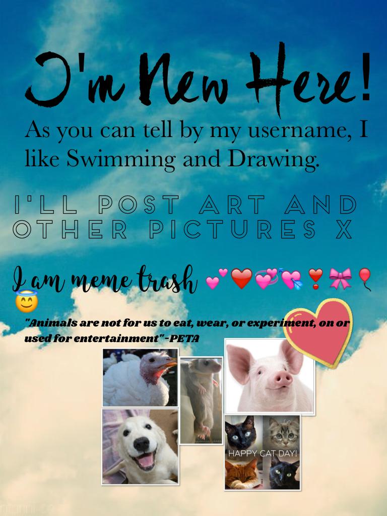 I'm New Here!  Nice to meet you guys, I'm really excited to join the PicCollage family/community! You guys can talk to me in English or Chinese. x