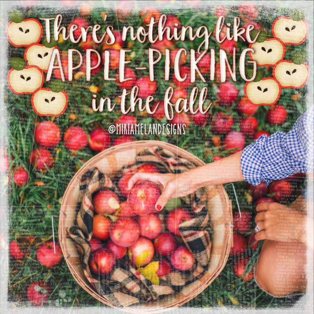 🍎Tap🍏
Apple Stickers from Sweater Weather sticker pack! Anyone going to the orchard today?🍂