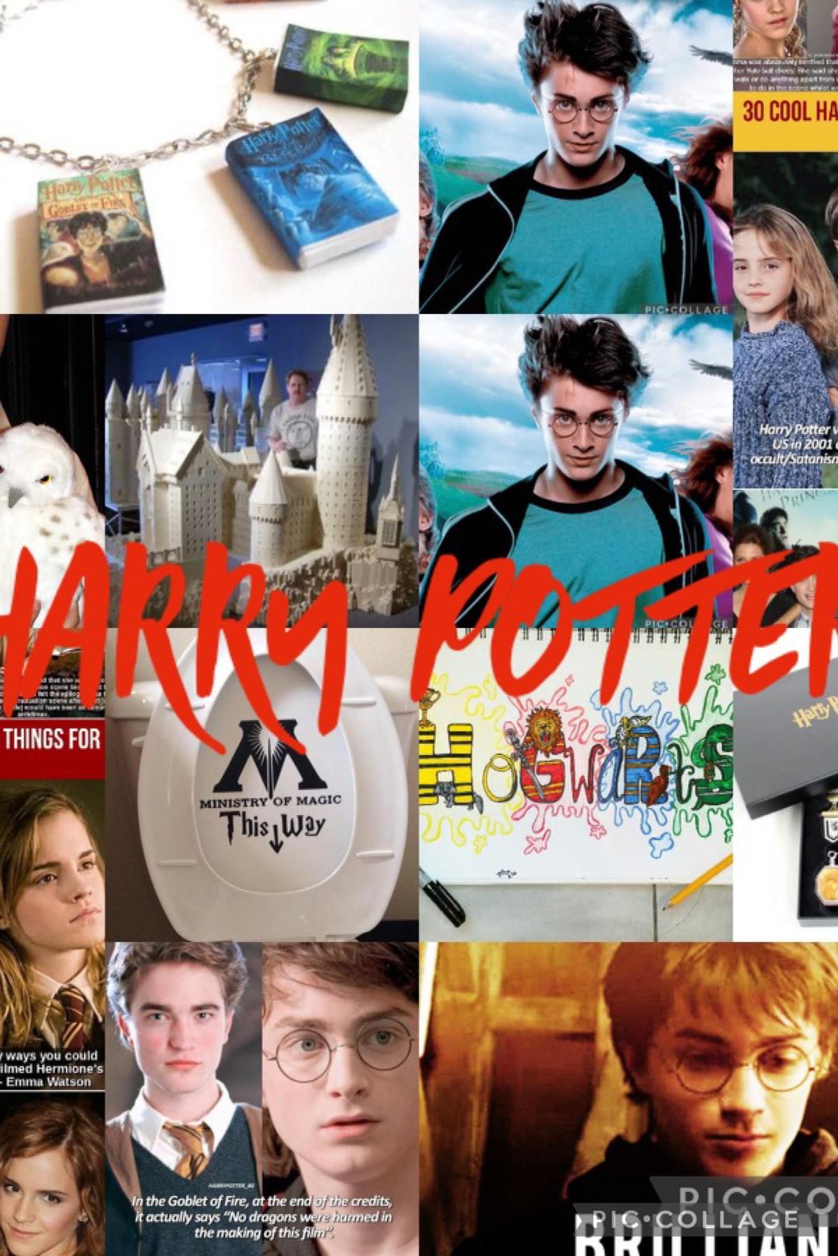 I love Harry Potter 