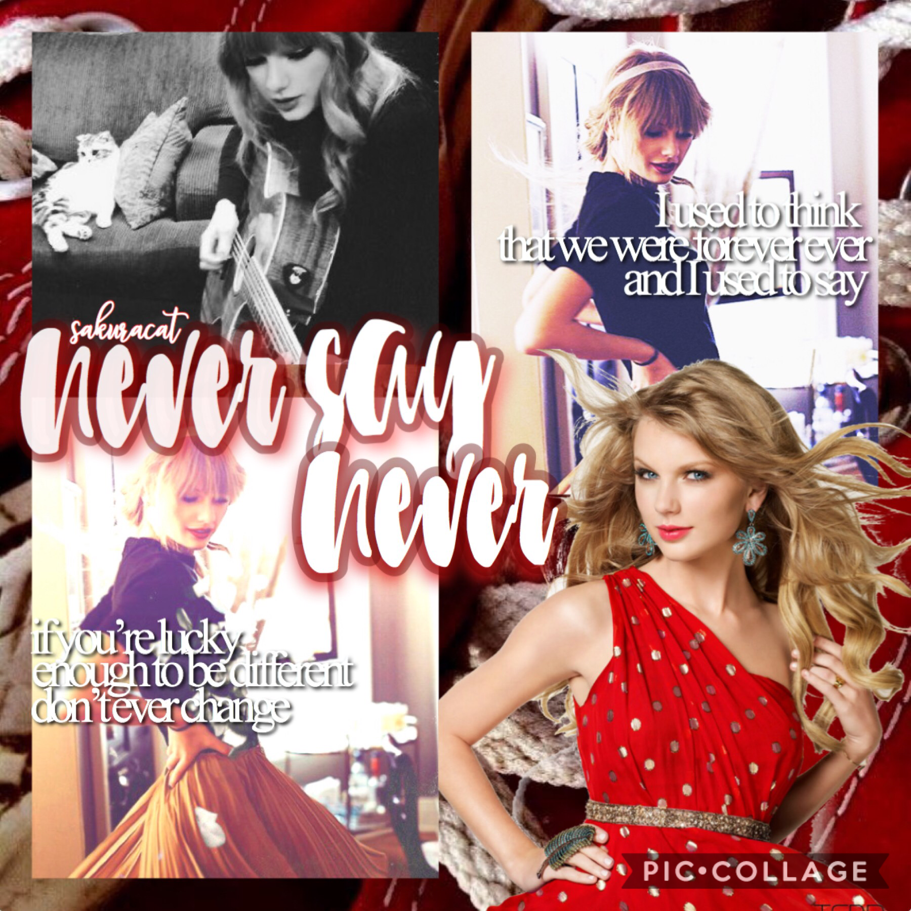 Tap🍄

Taylor edit  next time as well. Rate 1-10! QOTD: aid there a hurricane/ typhoon coming your way? / are you hungry?AOTD : yes and yes😅 stay safe xx #fightcancer #miraclesdohappen #INeedCaramelPopcorn FOOOOOOD SPAM ME WITH CAT STUFF IF YOU OWN A CAT