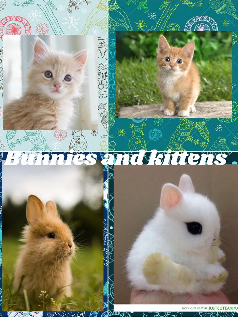 Bunnies and kittens 
