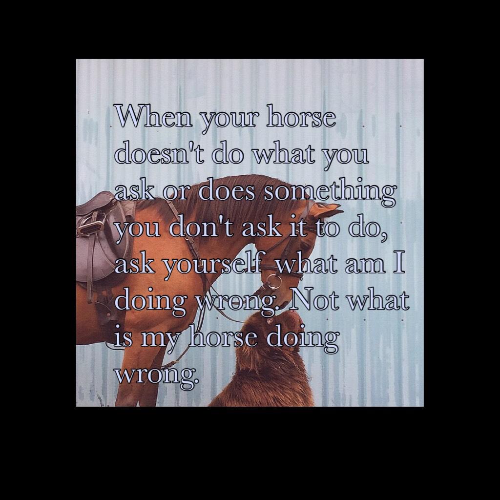 When your horse doesn't do what you ask or does something you don't ask it to do, ask yourself what am I doing wrong. Not what is my horse doing wrong.